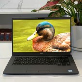 Laptop Cũ Dell Latitude 7400 Core i7 - 8665U/ RAM 8GB/ SSD 256GB/ 14" FHD